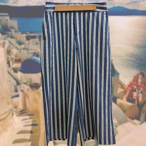 Banana Republic Cropped Wide Leg Pants